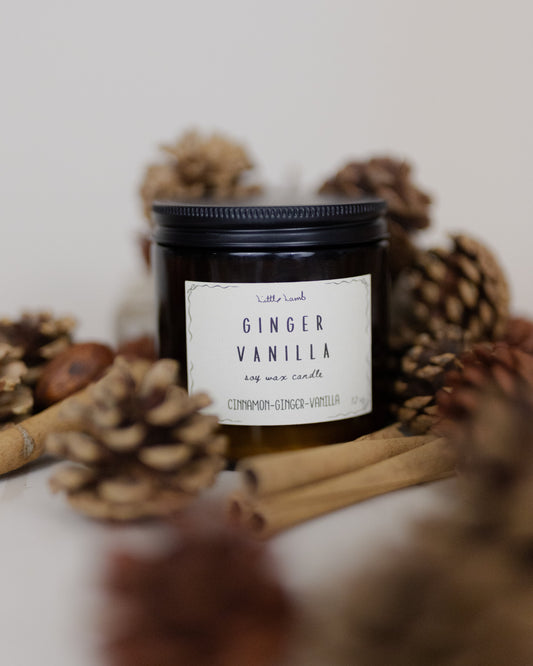 Ginger Vanilla candle with pinecones and cinnamon sticks on a white background